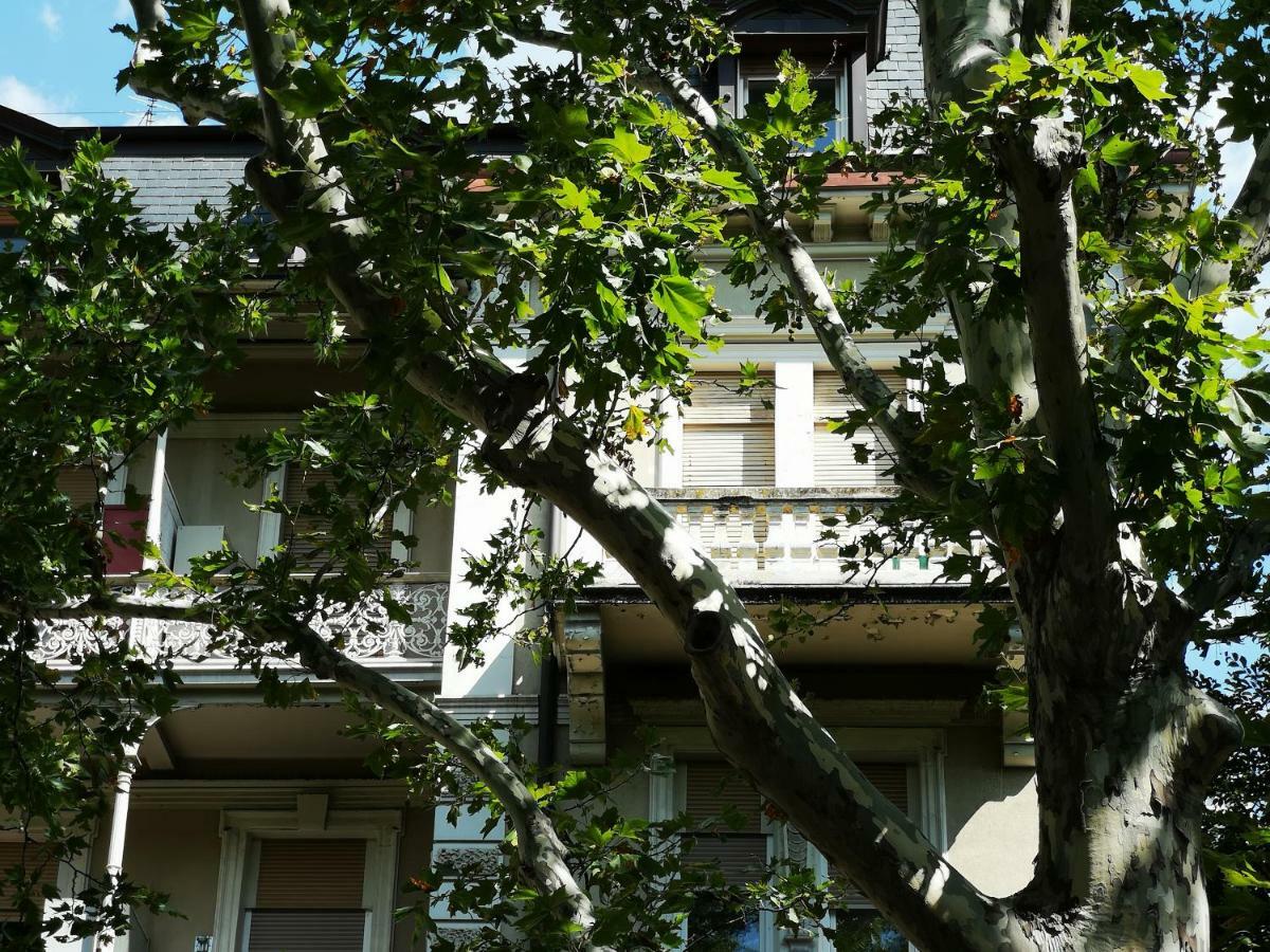 Spazioso E Accogliente Nel Centro Di Мерано Екстер'єр фото